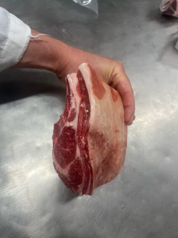 MUTTON FROM TASTE TRADITION