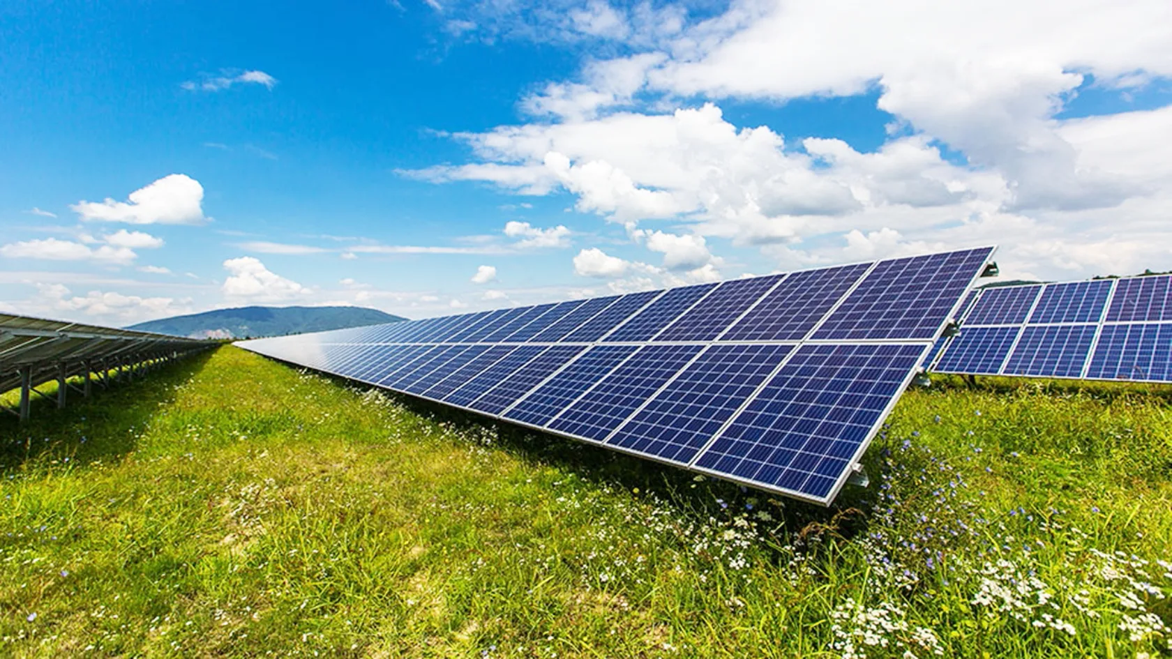Solar array field