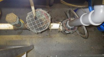 Proofing to stop rats getting into the building | Rat Control
