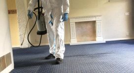 flea-treatment | Flea removal in Maidstone Kent