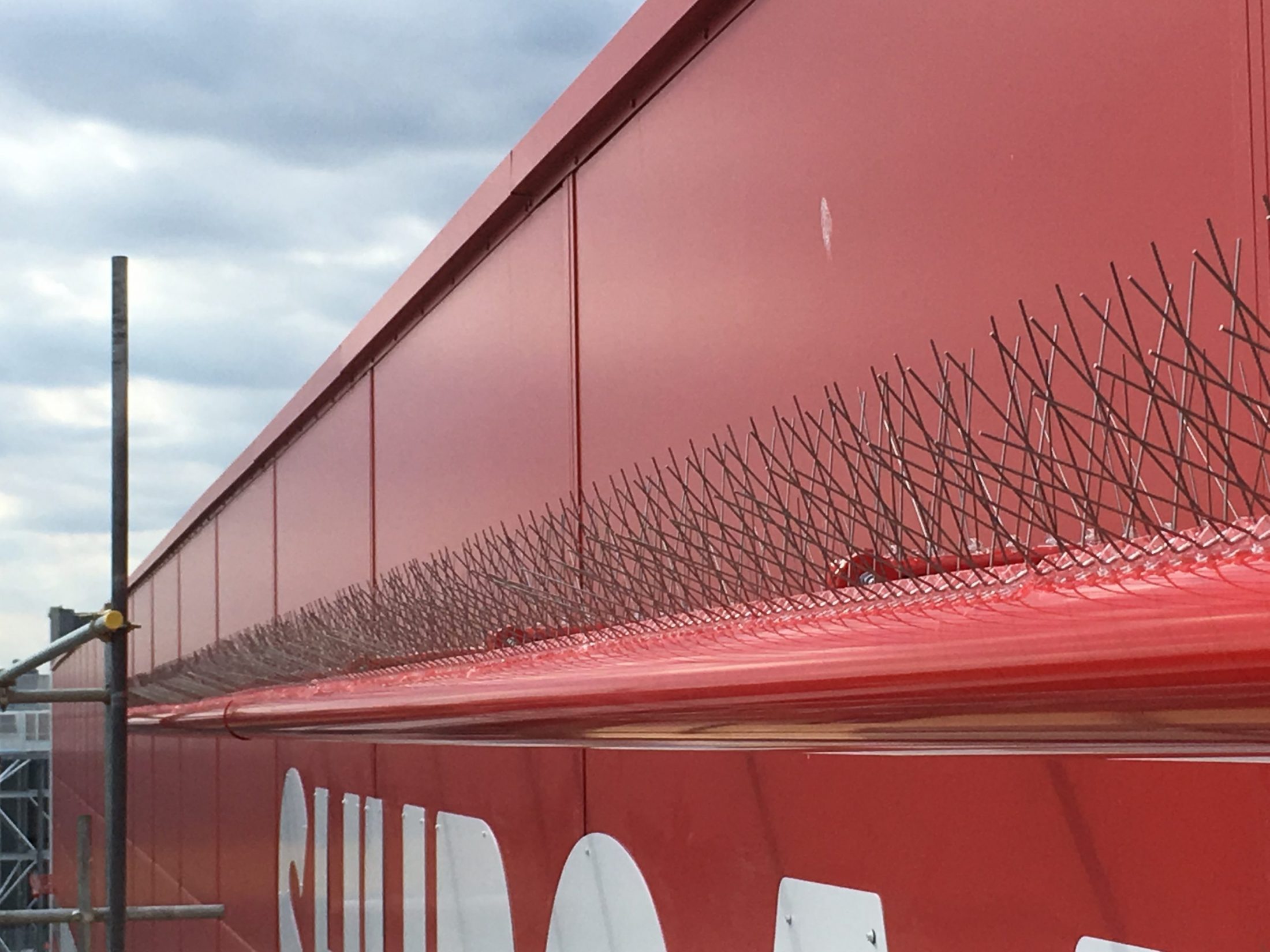 bird spiking | Wasp nest removal Maidstone
