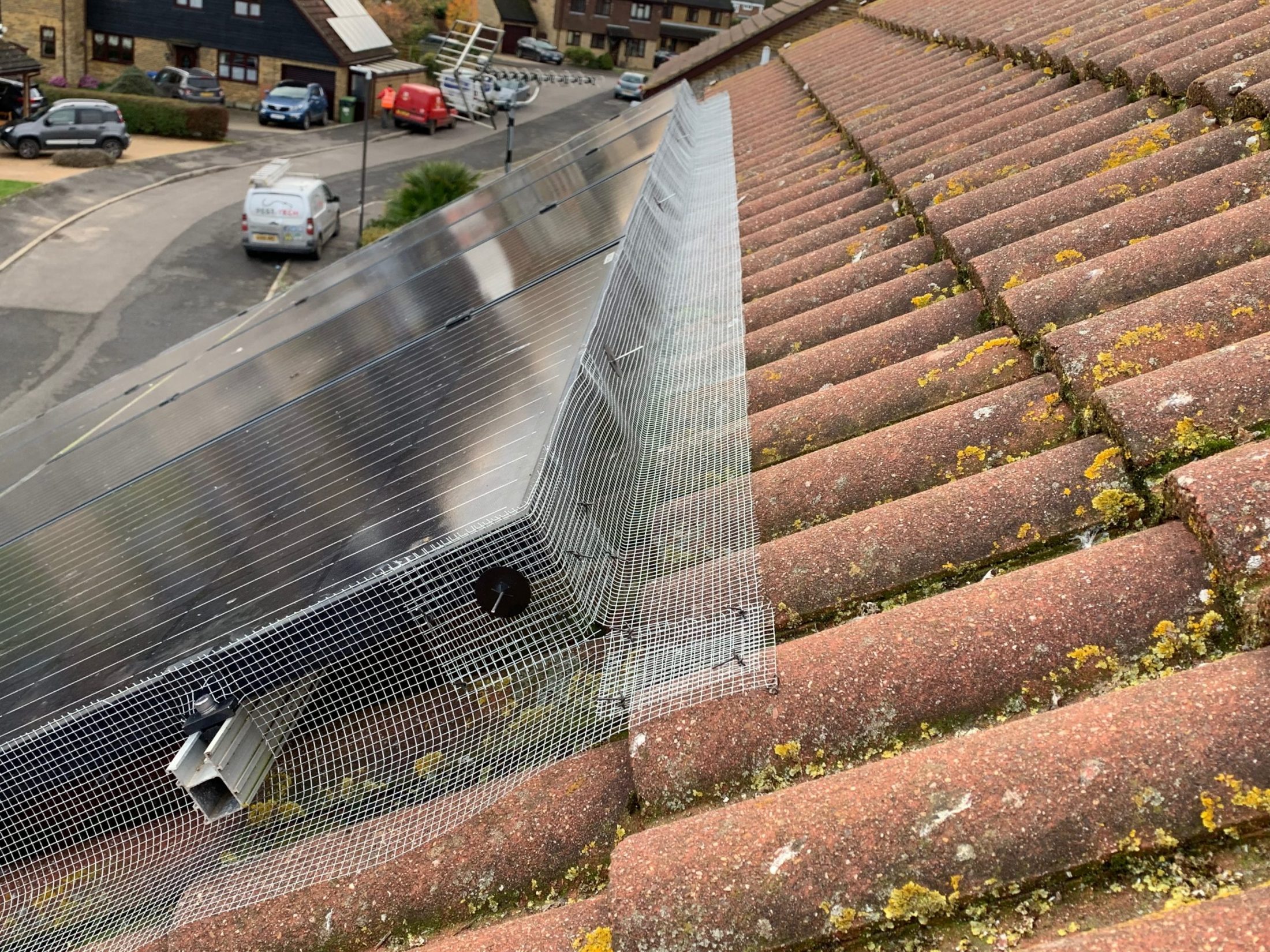 bird proofing on roof | Pest Infestation Kent