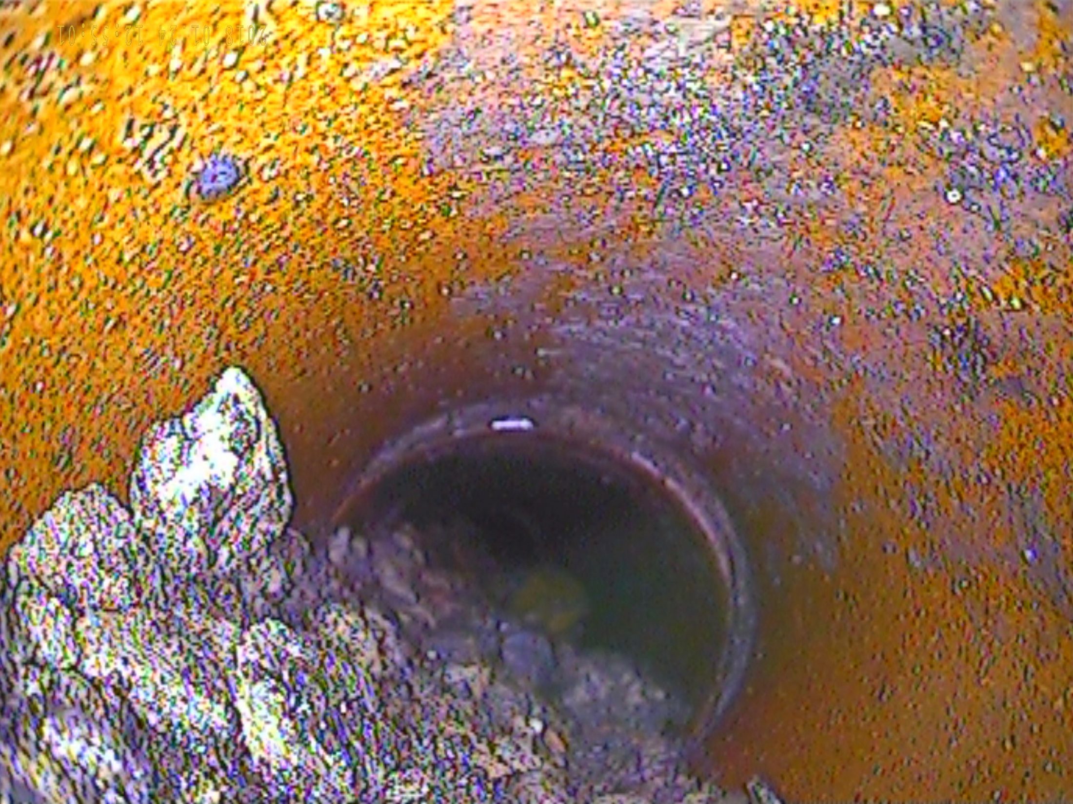 Drain Survey for rat entry to a building