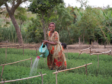 A woman in a red and yellow dress waters seedlings in a tree nursery