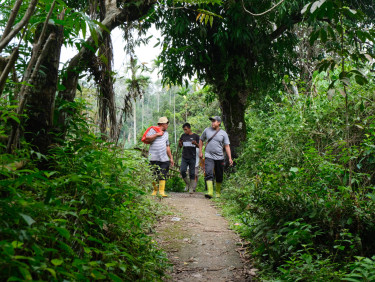 A group of men walking along a path in a forest
