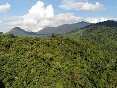 A drone shot of a set of forested hills