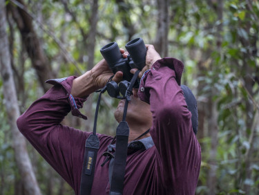 A man in a red shirt stands in a forest looking up through binoculars