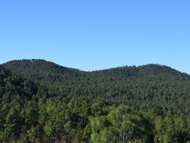 A wooded hill with a blue sky above