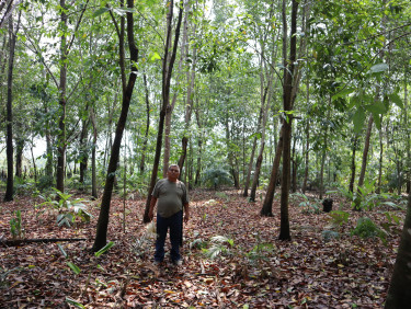 A man in a grey t-shirt standing in a forested area