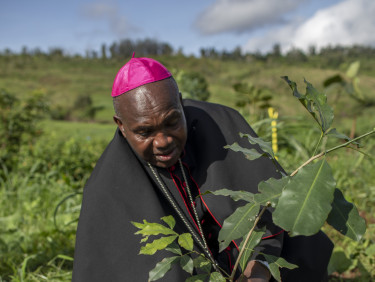 A man in a pink bishop's hat and robes plants a seedling in a field