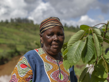 A woman holds a seedling in a field