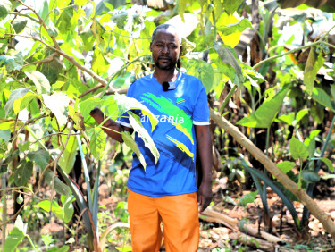 A man in a blue shirt stands in a forested area