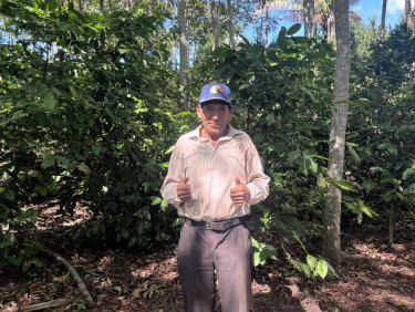 A man in a blue baseball cap stands under a tree