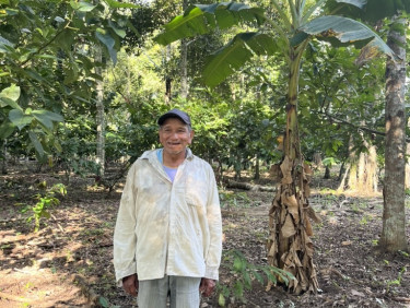 A man in a white shirt stands under a tree