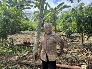 A man in a checked shirt stands under a tree