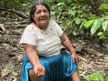 A woman in a white t-shirt sits in a clearing with plants around her