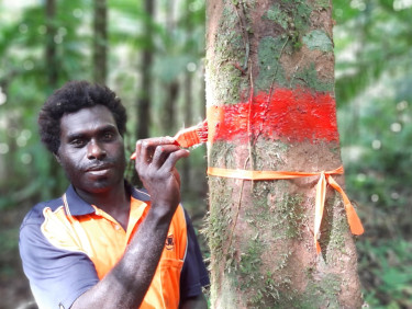 A man in a black and orange shirt is painting a red ring around a tree in a forest