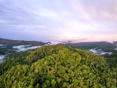 A drone shot of wooded hills with a dusk sky behind