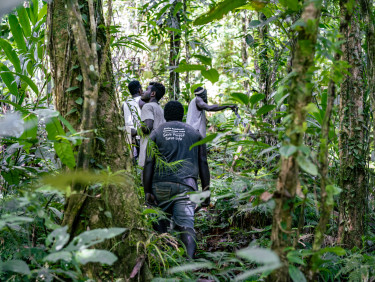 A group of men in green uniforms walks through a forest