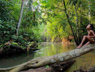 A child on a branch across a river in a forest
