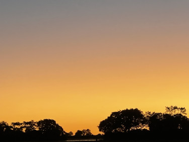 A sunset over water and trees