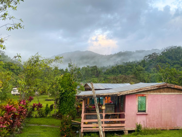 A wooden building painted pink with a tropical landscape behind