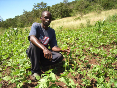 A man in a dark grey t-shirt crouches in a field of crops