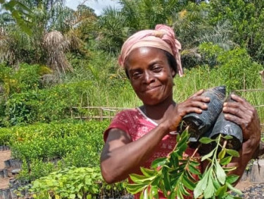 A woman in a headscarf is carrying several seedlings on her shoulder