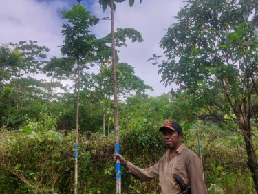 A man in a baseball cap is standing under a tree
