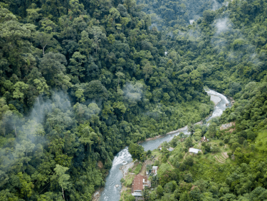 An aerial shot looking down on a misty river flowing through an Indonesian forest