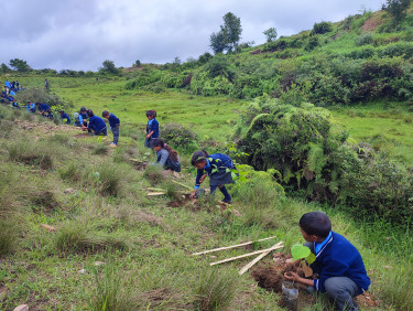 A line of children in blue school uniform plants seedlings in a grassy field