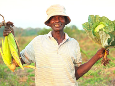 A man in a white bucket hat holds two ears of sweetcorn in one hand and a lettuce in the other hand