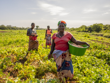 A group of three women standing in a field of crops, the woman in front is holding a bucket