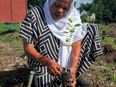 A woman in a hijab kneels to plant a seedling with a crutch on the ground next to her