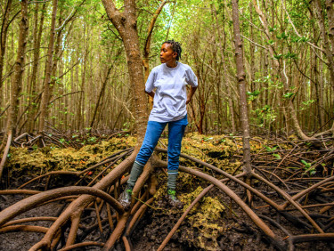A woman in a white t-shirt leans against a mangrove tree in a forest