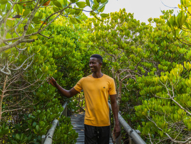 A man in a yellow t-shirt on a wooden walkway with trees on either side