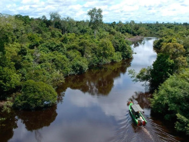 A drone shot of a river through a forest with a boat navigating it