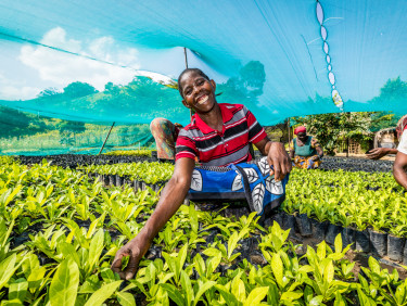 A smiling nursery worker crouches between rows of seedlings, with a blue net canopy above her.