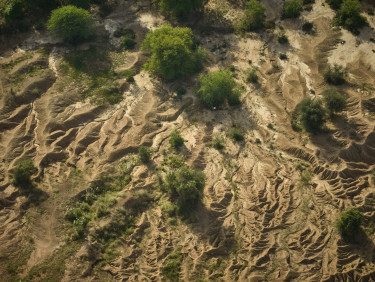 Drone shot of dry cracked soil with a few scattered trees