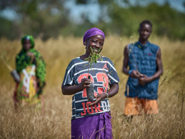 Three people standing in grassy savannah, one woman at the front, smiling and holding a seedling