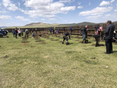 A group of people planting trees in a grassy landscape