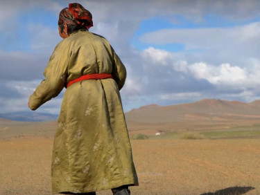 A woman in a green dress with her back to the camera in a desert landscape