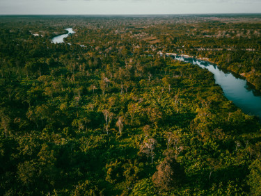 A drone shot of a forest with a river running through it