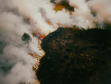 A drone shot of a forest on fire