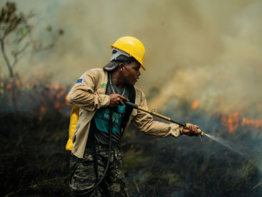 A man in a yellow hard hat uses a hose to extinguish a fire in a grassy area