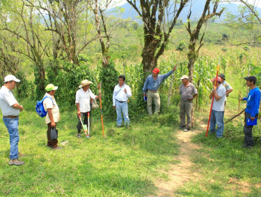 A group of people standing in a clearing in a forest