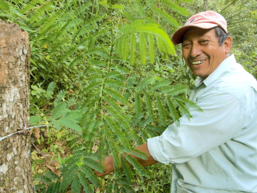 A man in a cap stands side-on next to a tree