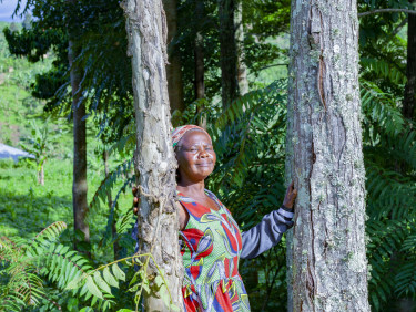 A woman in brightly coloured clothes stands in between two trees