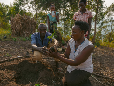 A group of people plant a seedling with a forested area behind them
