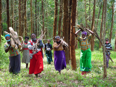 A group of women in brightly coloured clothes holding bundles of firewood over their shoulders